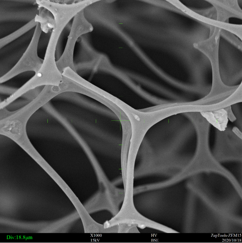 透射電鏡TEM和掃描電鏡SEM