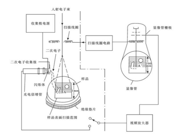 掃描電子顯微鏡成像原理圖