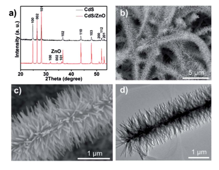 圖1：（a）CdS納米帶與CdS/ZnO樹枝狀異質(zhì)結(jié)的XRD峰對(duì)比。（b）低倍數(shù)SEM下觀測(cè)到的CdS/ZnO樹枝狀異質(zhì)結(jié)。（c）（d）分別對(duì)應(yīng)SEM和TEM下觀測(cè)到的CdS/ZnO樹枝狀異質(zhì)結(jié)。