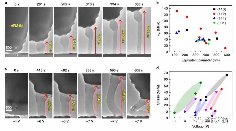 鋰晶須生長的原位AFM-ETEM成像以及在施加電壓下同時測量鋰晶須的應(yīng)力變化。
