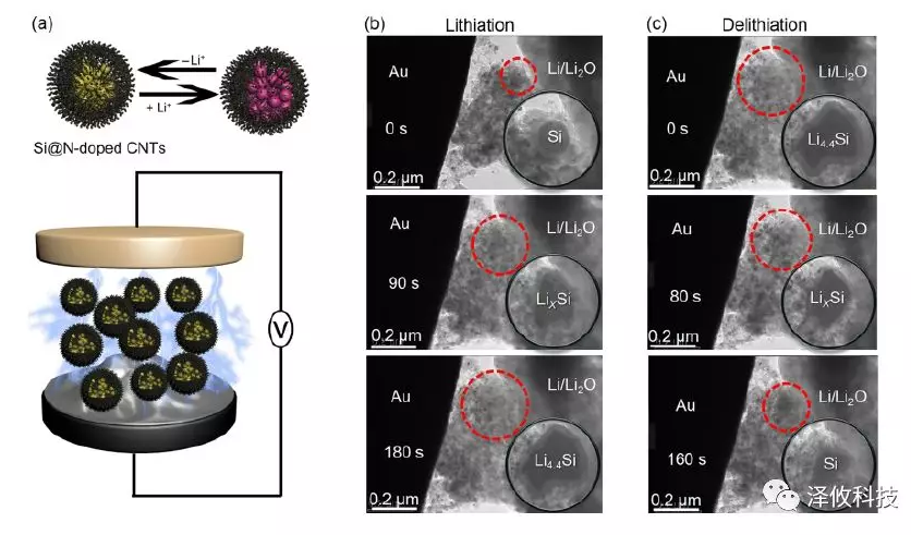 原位觀測(cè)Si@N-doped CNTs陽極的充放電過程