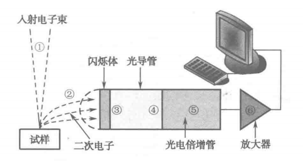 掃描電子顯微鏡信號傳送系統示意圖.png