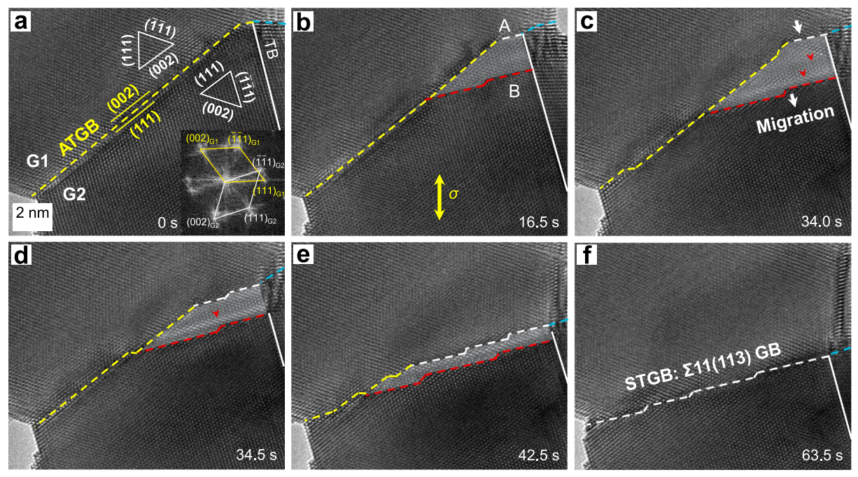 晶界動態(tài)調(diào)整的原位觀測